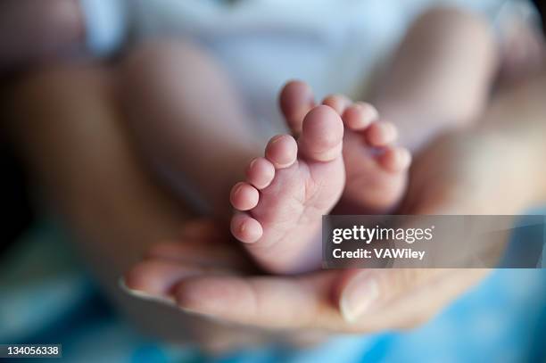 mani e piedi - piede umano foto e immagini stock