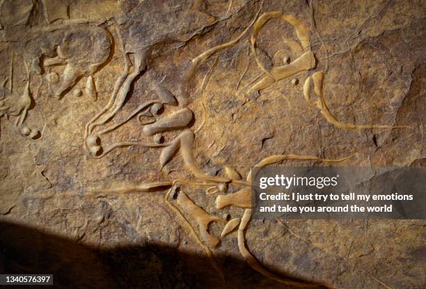 tamanrasset, tassili n'ajjer national park - algeria, sahara - africa - サウスアフリカキリン ストックフォトと画像