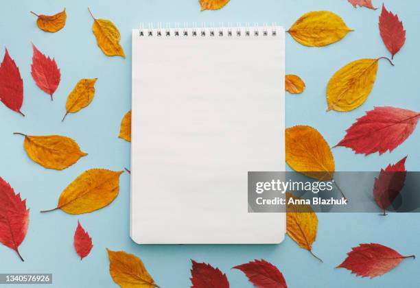 fall red and orange leaves pattern over blue background. note pad with copy space. seasonal card. - fall foliage stock pictures, royalty-free photos & images