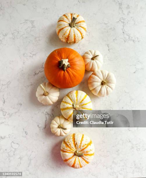 variety of pumpkins on white, marble background - pumpkins in a row stock pictures, royalty-free photos & images