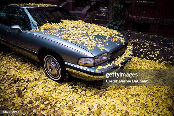 yellow leaves covering car and street - covered car photos et images de collection