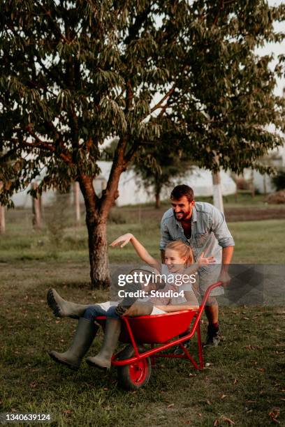 happy family a ride in a wheelbarrow at the farm - kruiwagen stockfoto's en -beelden