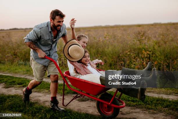 farmer enjoying with his girls - kruiwagen stockfoto's en -beelden