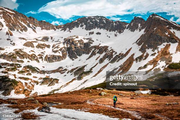 tatra mountains - small group of objects stock pictures, royalty-free photos & images