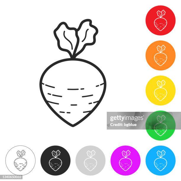 turnip. flat icons on buttons in different colors - turnip stock illustrations