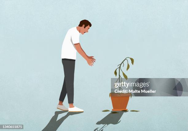 surprised man looking down at dead houseplant - dead plant stock illustrations