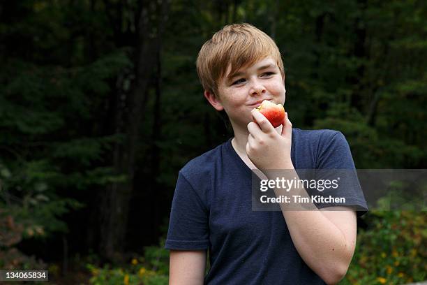 boy eating an apple, smiling - child holding apples stock-fotos und bilder