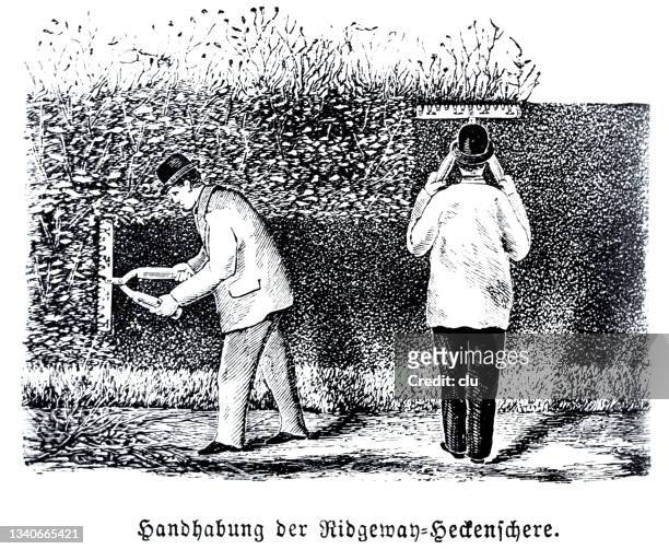 two men working with the hedge trimmer - hedge trimming stock illustrations
