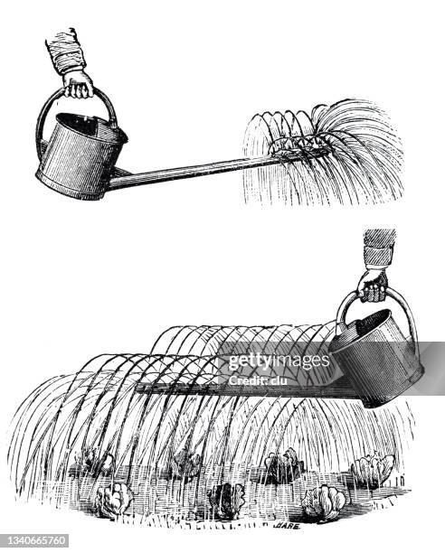 watering cans with multiple water jets, white background - flower patch isolated stock illustrations