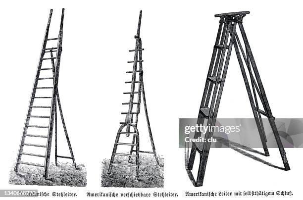 stockillustraties, clipart, cartoons en iconen met three american garden ladders on white background - tree on white