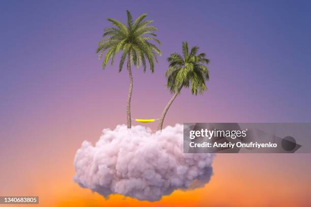 beautiful tropical island - hammock no people stock pictures, royalty-free photos & images