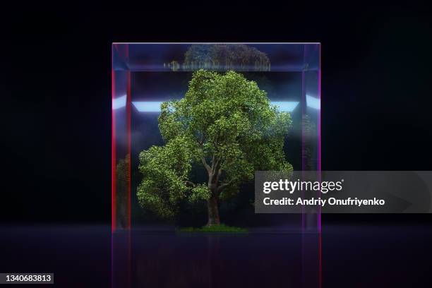 ecosystem - box container stock pictures, royalty-free photos & images