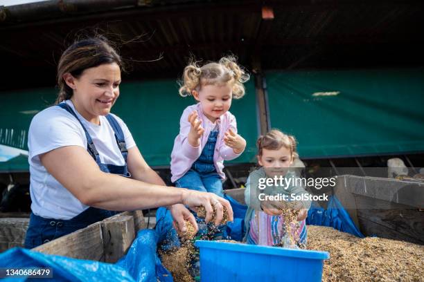 helping hand at the farm - overall stock pictures, royalty-free photos & images