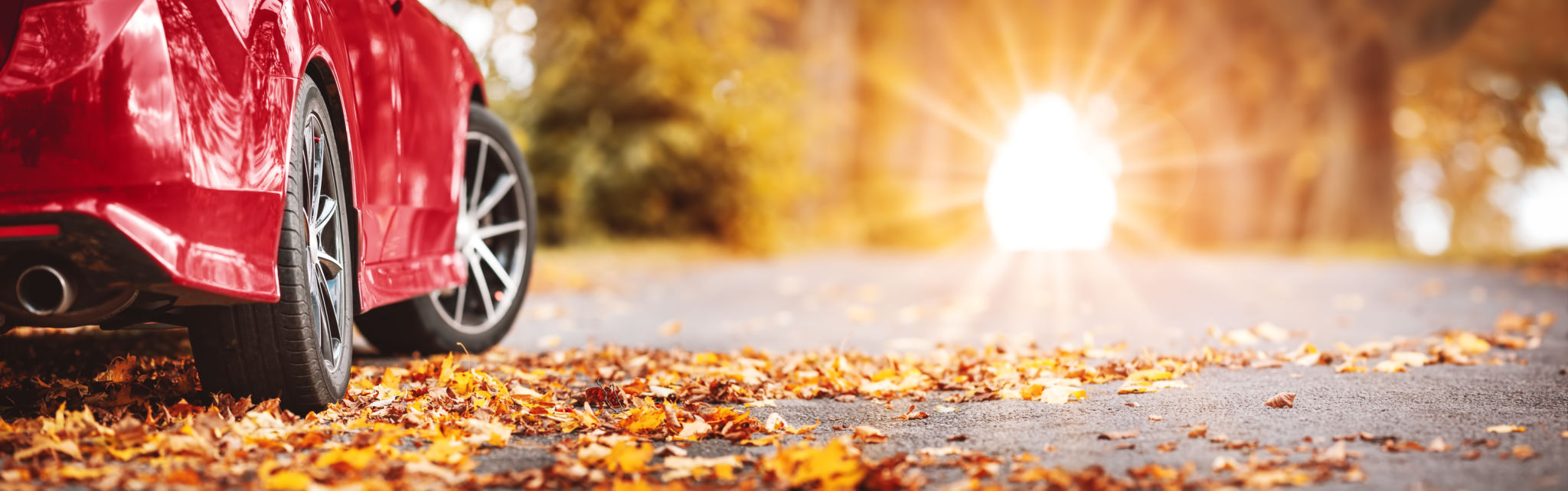 fall driveway care