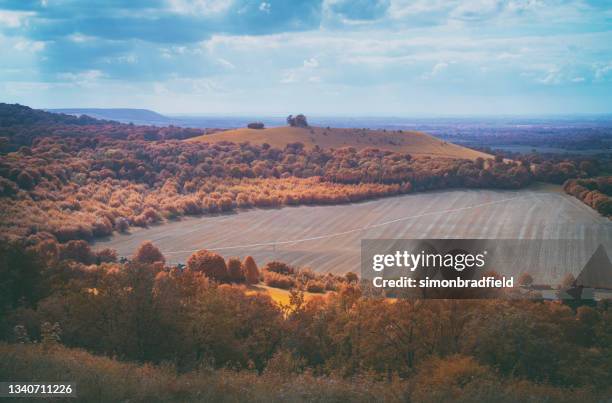 チルターンヒルズからの秋の風景 - チルターンヒルズ ストックフォトと�画像