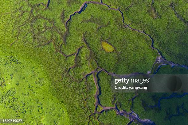 aerial view of farms fields summer landscape - copse stock pictures, royalty-free photos & images