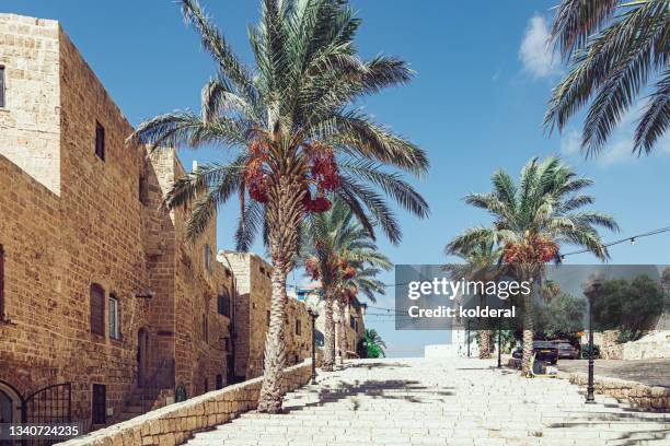 old town of jaffa with palm trees against blue sky - jaffa stock-fotos und bilder