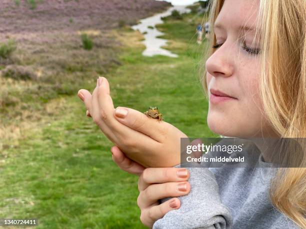 baby frog meets teenage girl - príncipe encantado imagens e fotografias de stock