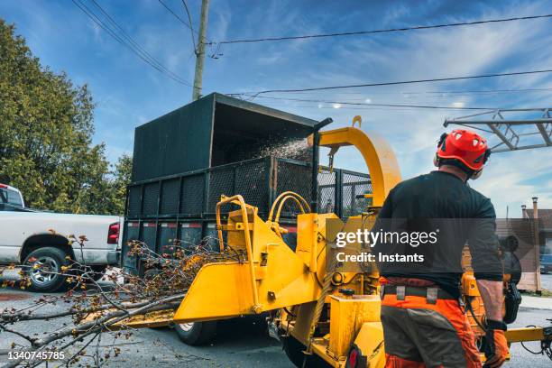 wood chipping time! - wood chipper stock pictures, royalty-free photos & images