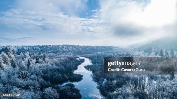 aerial view on river and forests in winter morning - cold morning stockfoto's en -beelden