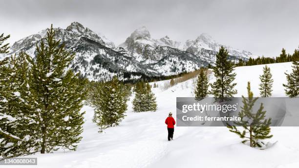 woman hiking by grand teton national park - grand teton stock pictures, royalty-free photos & images