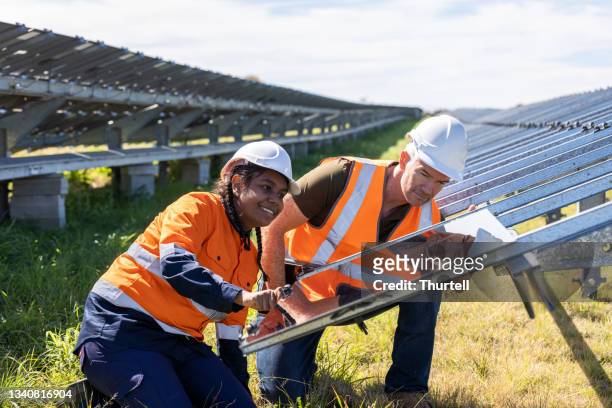 senior engineer and aboriginal australian apprentice working together on solar farm installation - minority groups 個照片及圖片檔