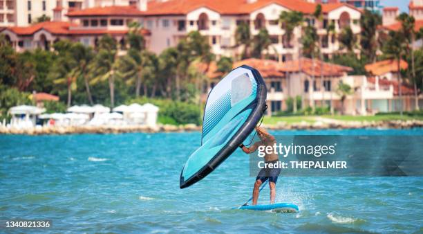 fotos e imágenes de Fisher Island - Getty Images fotos e imágenes de Fisher Island - Getty Images