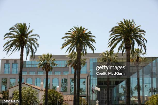 Office Build-Outs in Solano County: Transform Your Workspace with Chelu ...
