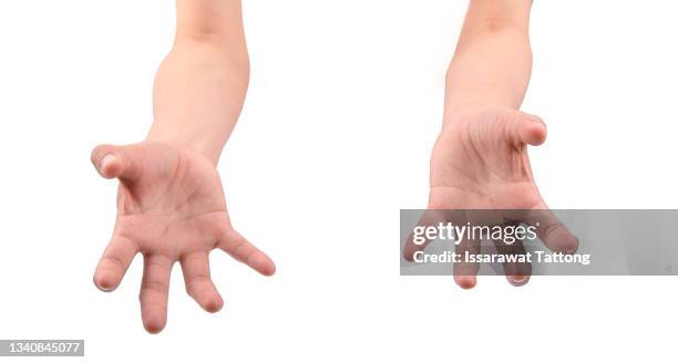 two open female hands on white background - bequest stock pictures, royalty-free photos & images