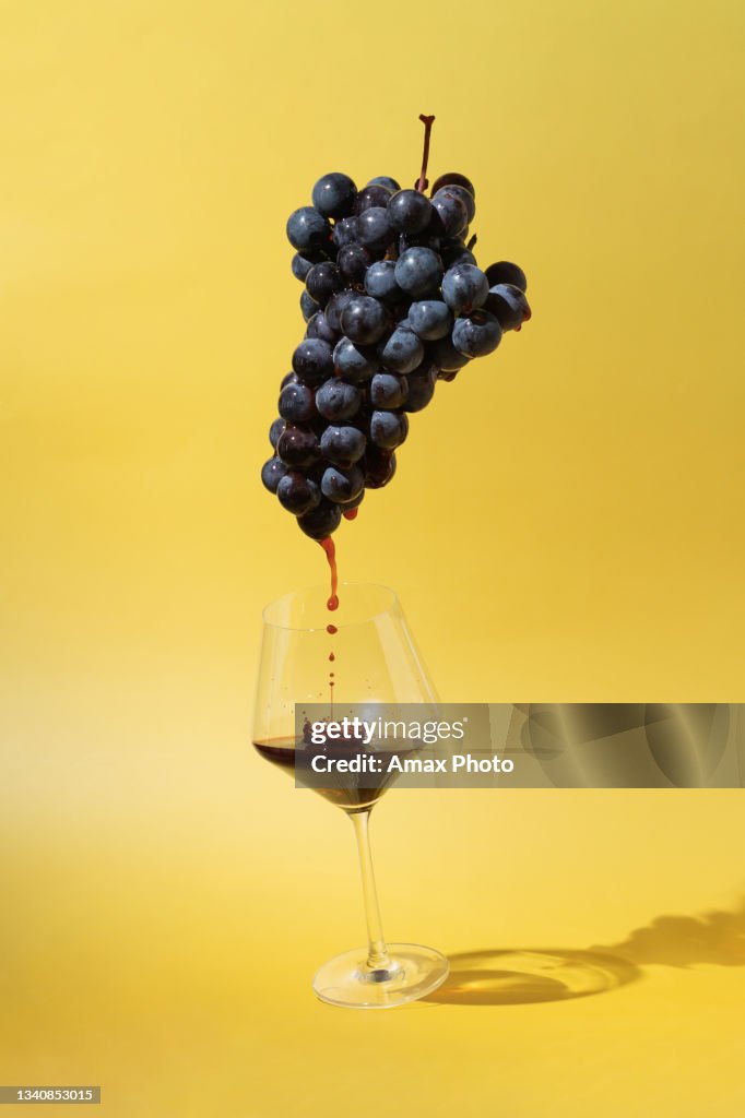 Still life with black grapes and flowing red wine into a glass on yellow background