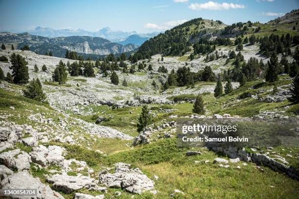 beautiful view of the alps mountain ranges from the wooded plateau of glandasse in the vercors - vercors photos et images de collection