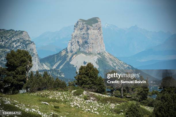 magnificent view of the mont aiguille from the wooded plateau of glandasse in the vercors - vercors photos et images de collection