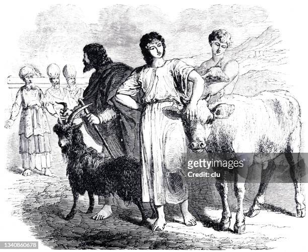 the sacrifice for sins  in 3. moses 4 - animal sacrifice stock illustrations