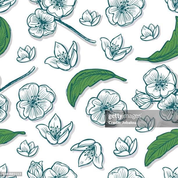 seamless background flowers and leaves oriental style doodles - green tea powder stock illustrations