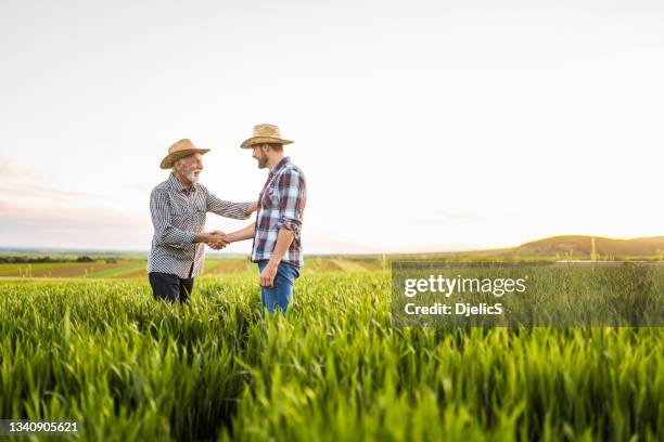 two happy farmers shaking hands on an agricultural field. - agriculture happy stockfoto's en -beelden