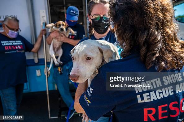 463 Animal Shelter Staff Photos and Premium High Res Pictures - Getty Images
