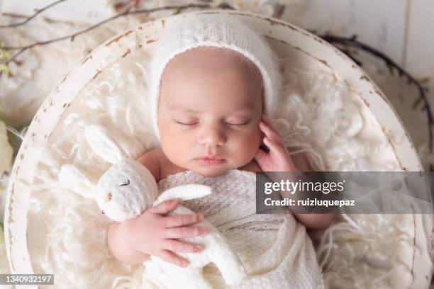 8 days old newrbon baby girl embrassing a stuffed  bunny - baby bunny stock pictures, royalty-free photos & images