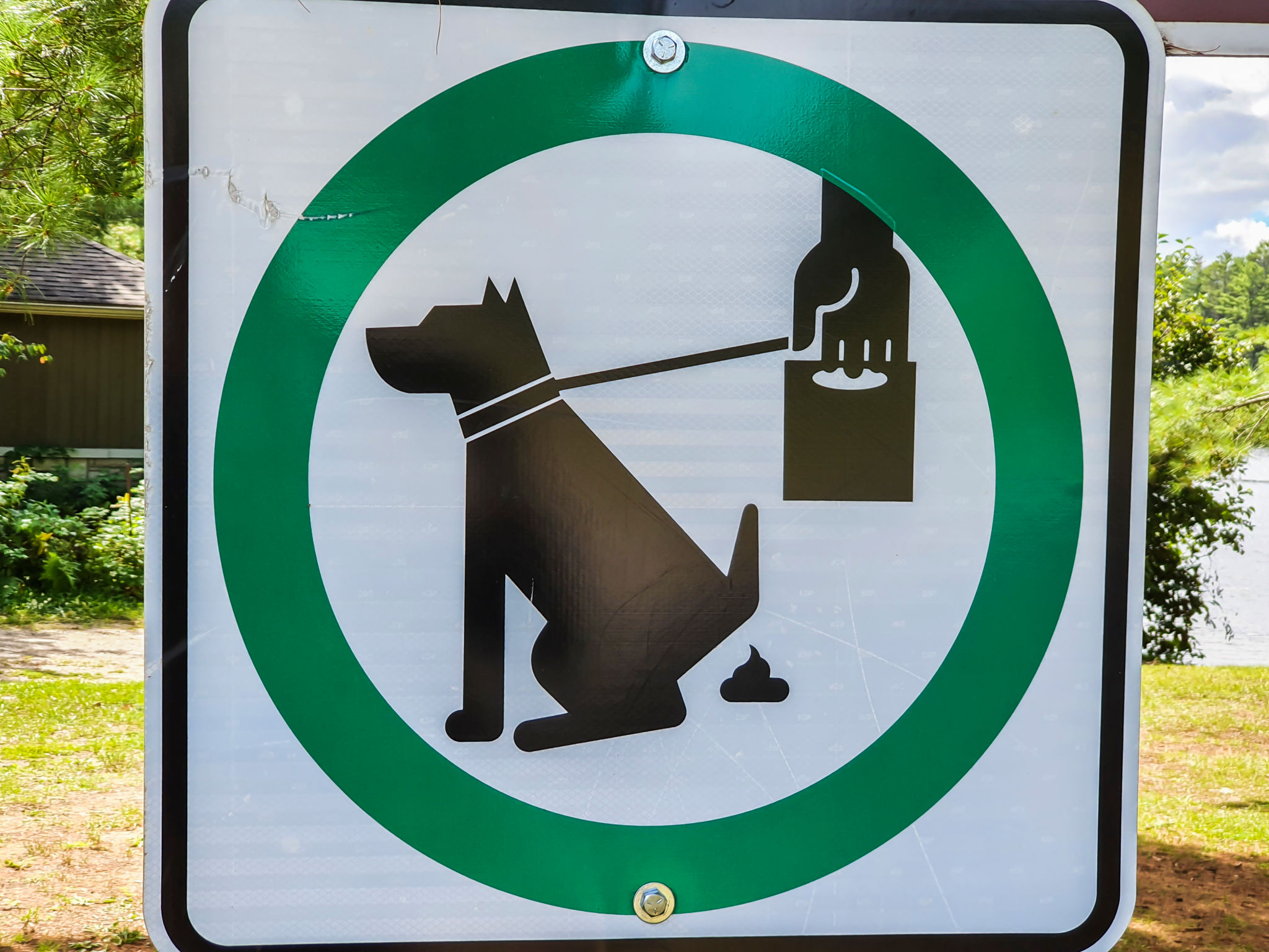 dog waste cleanup