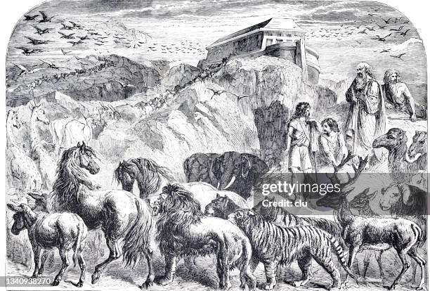 entry into the ark - noah stock illustrations