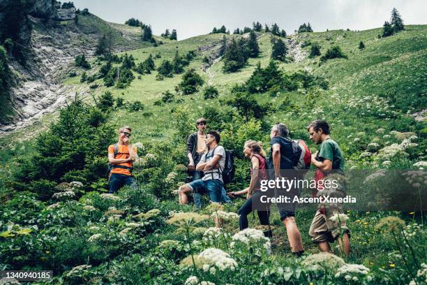 view of friends hiking through grassy meadow - alpen sommer stock pictures, royalty-free photos & images