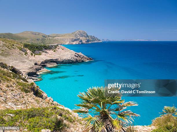 view along coast to cap ferrutx, arta, mallorca - bay of water stock-fotos und bilder