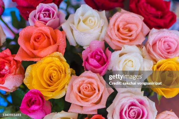 close-up of roses bouquet - close up of flower bouquet stock-fotos und bilder