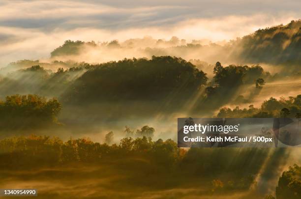 trees on landscape against sky during sunset,jackson township,arkansas,united states,usa - arkansas keith jackson stock pictures, royalty-free photos & images