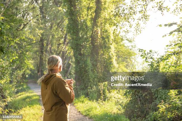 woman pauses on forested trail before morning hike - mindfulness stockfoto's en -beelden