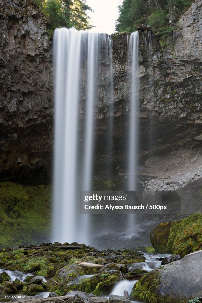 Scenic view of waterfall in forest