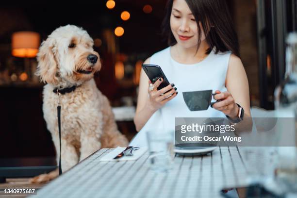 young woman and her lovely little puppy enjoying holiday in local outdoor cafe - 犬　人　カフェ ストックフォトと画像