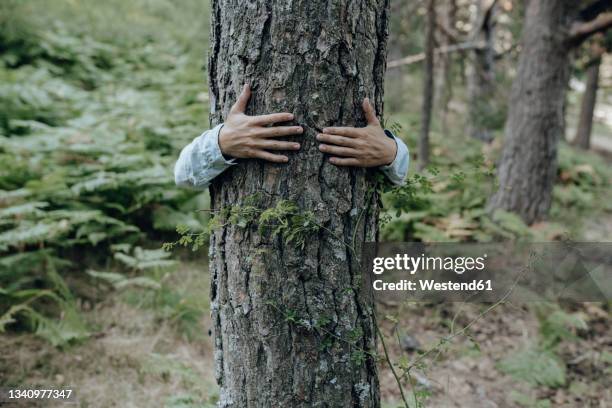 man hugging tree in forest - tree hugging stock pictures, royalty-free photos & images