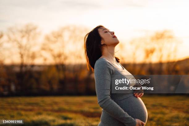 pregnant woman walking and taking fresh air in park at sunset - woman stretching sunset bildbanksfoton och bilder