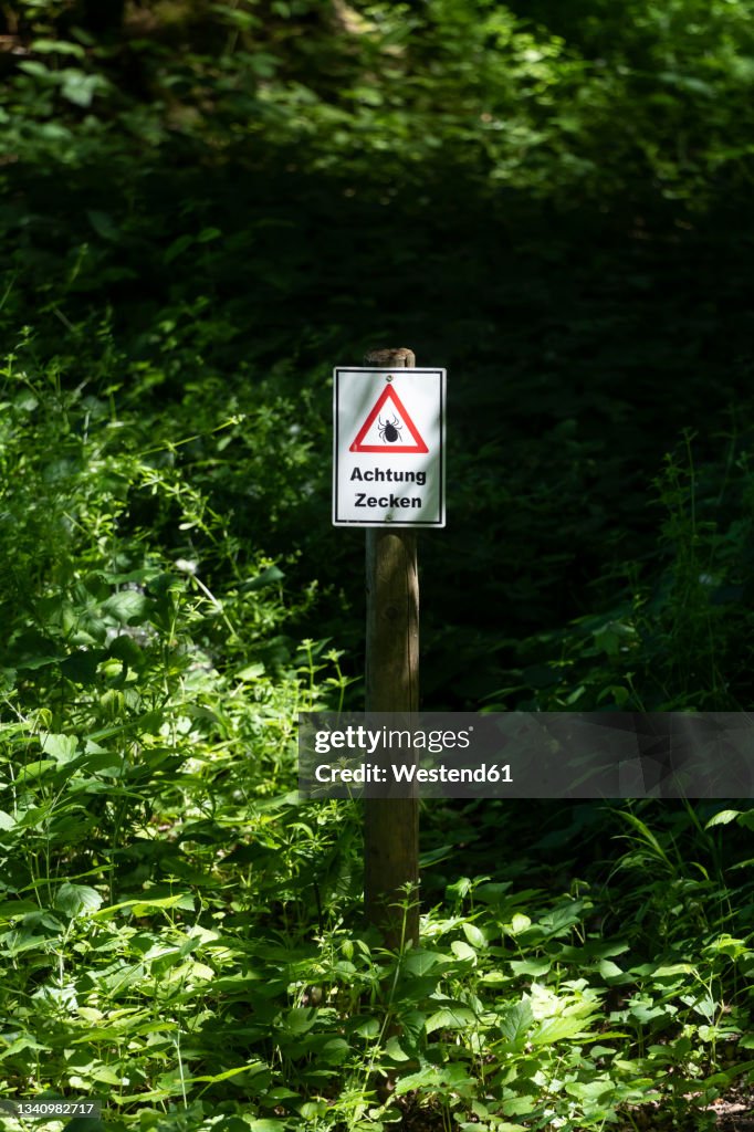 Signboard pole in forest on warning of ticks on a sunny day