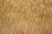 Close-up of the texture of a bulrush wall